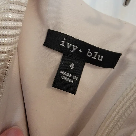 Ivy & Blu Ivory and Silver Metallic V Neck Dress Size 4 - Picture 5 of 5